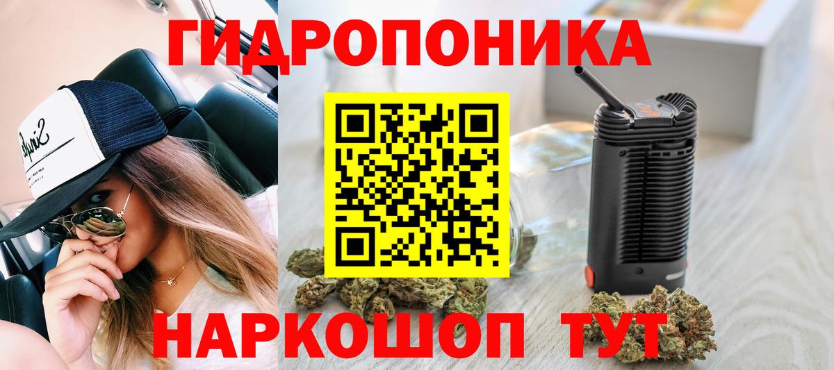 Шишки марихуана сатива  Вход с VPN  Бошки Шишки Bruce Banner  Канабис марихуана  Дубна 